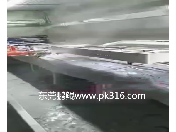 電子琴自動(dòng)化噴涂設(shè)備