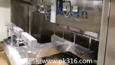 餐盒四工位六軸智能噴漆設(shè)備